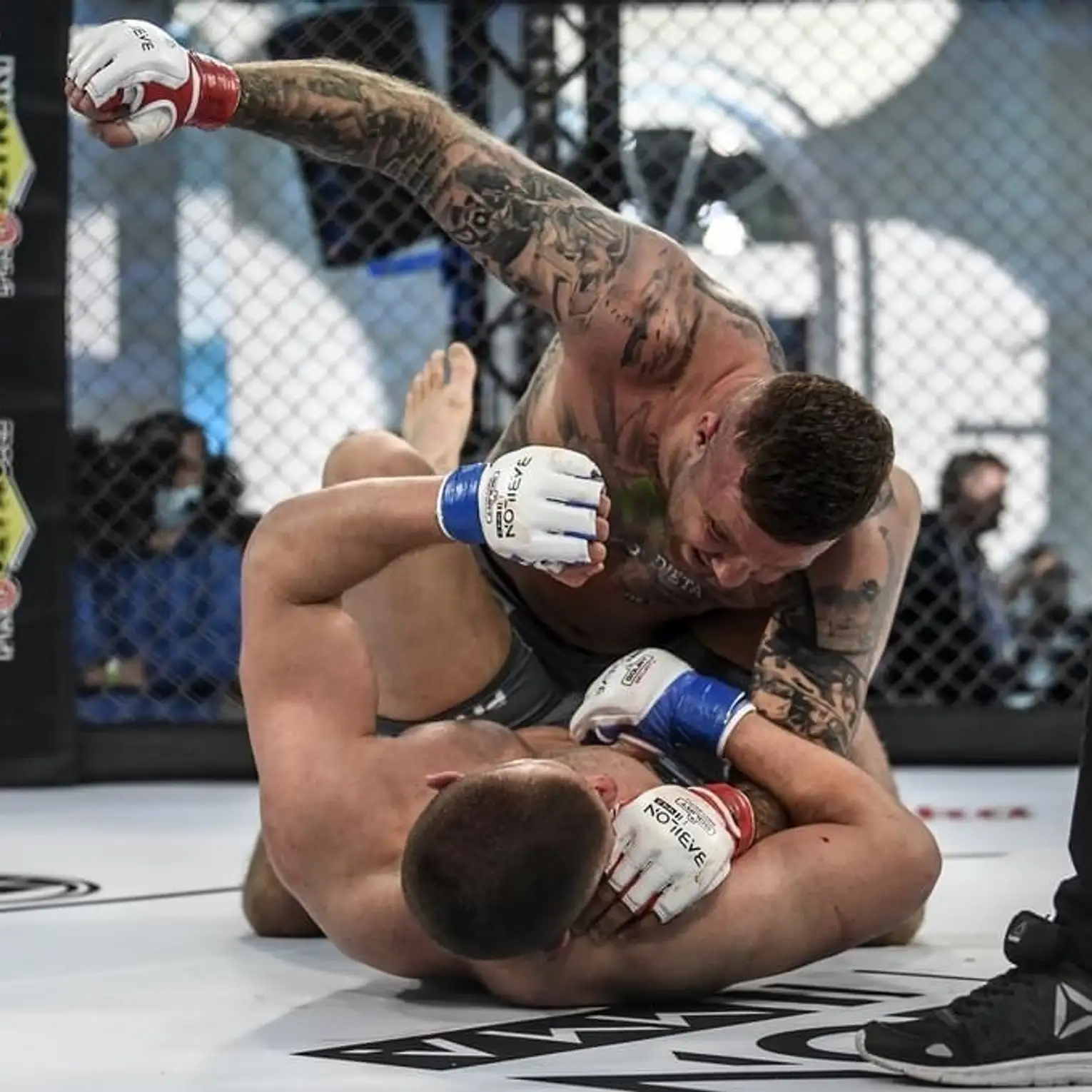 MMA Zawody